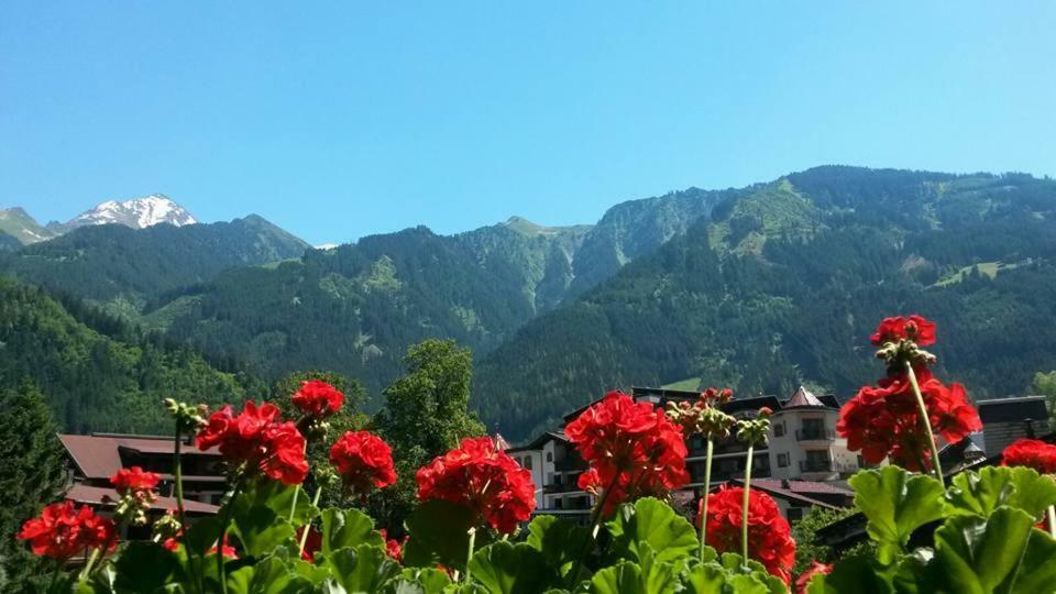 Ferienwohnung Landhaus Alpenrose Mayrhofen Exterior foto